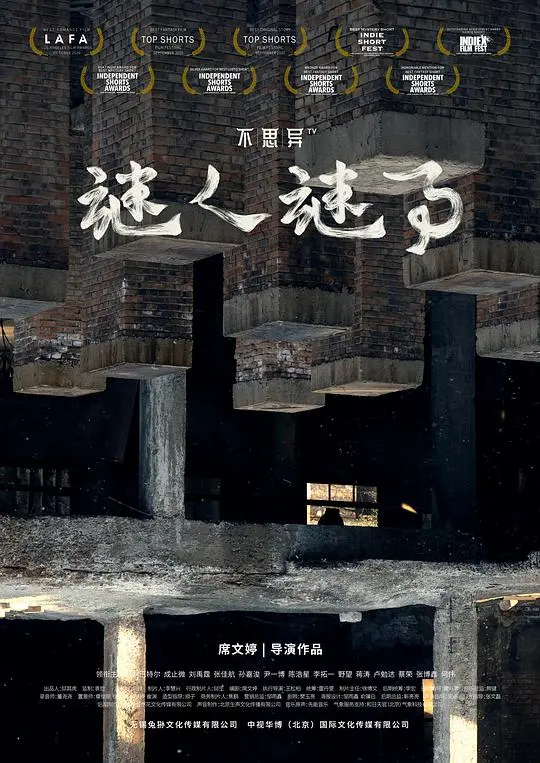 《不思异：谜人谜事》：烧脑悬疑，反转再反转，看完怀疑人生！