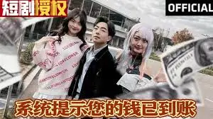 《系统提示您的钱已到账》：人生开挂的奇幻之旅，当金钱降临，生活会变成什么样？