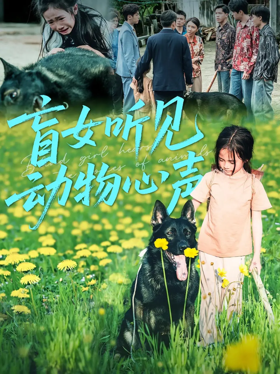 《盲女听见动物心声》：听见另一个世界的呼唤，这份治愈你get到了吗？