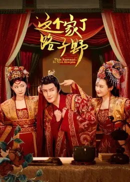 《这个家丁路子野》：别被名字骗了，这剧有点东西！